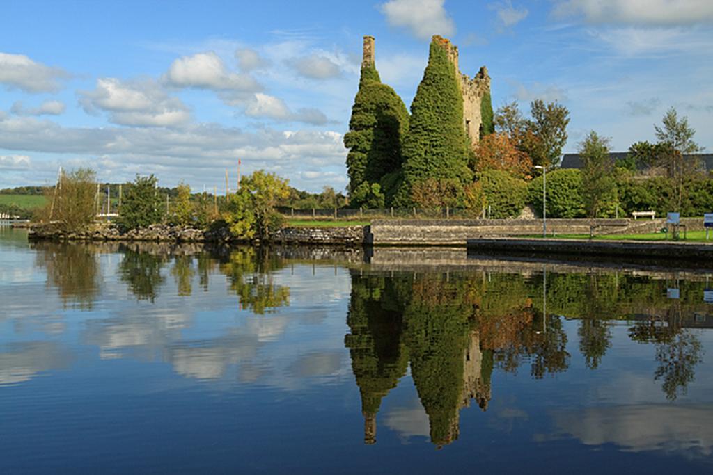 The Well Meadow B&B Nenagh Exterior foto