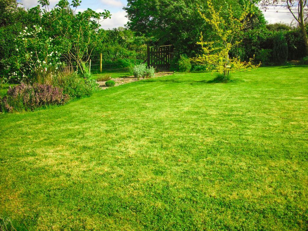 The Well Meadow B&B Nenagh Exterior foto