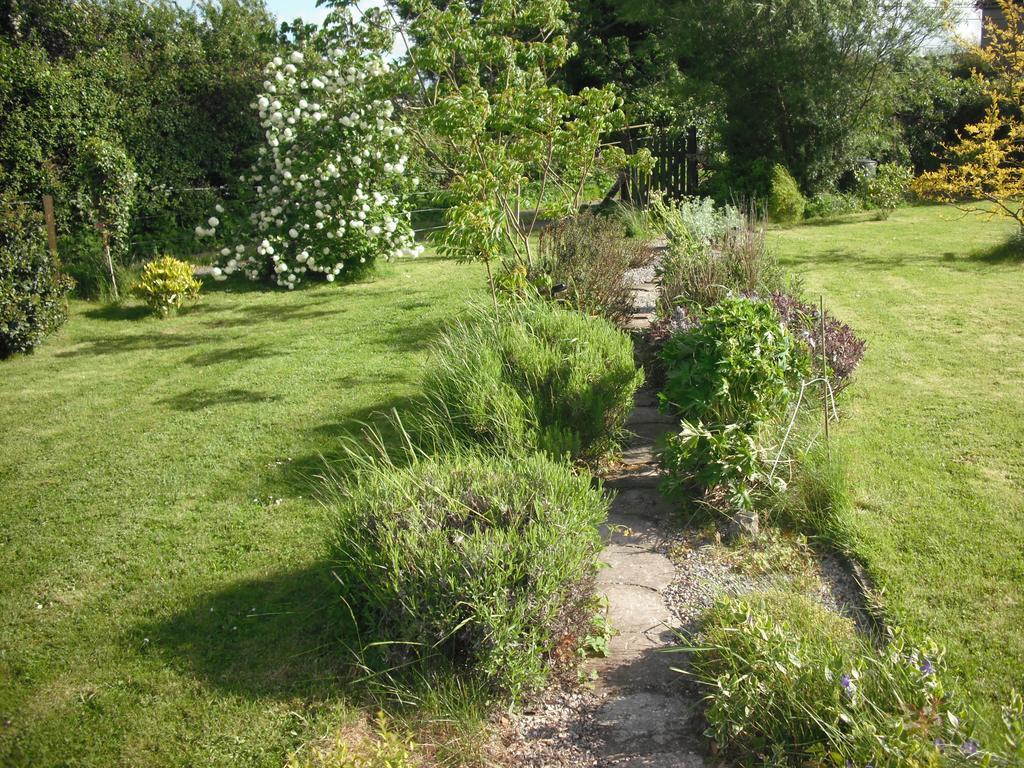 The Well Meadow B&B Nenagh Zimmer foto