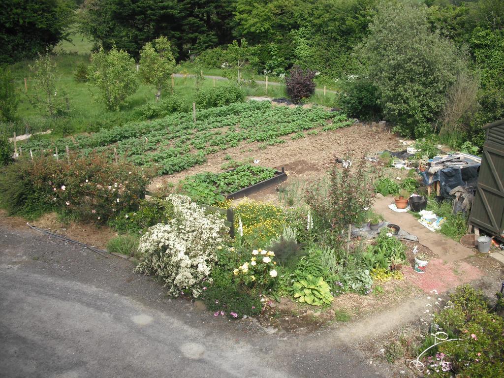 The Well Meadow B&B Nenagh Zimmer foto